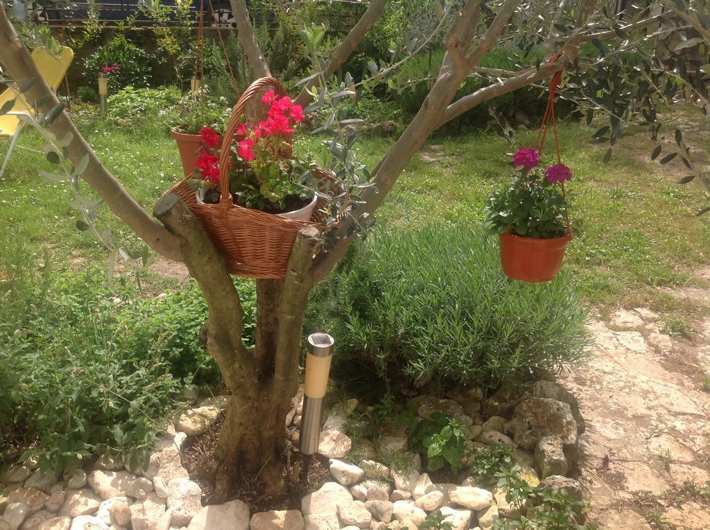 Holiday House Altea Banjole Phòng bức ảnh